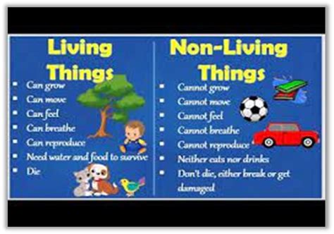 2 How To Identify Living Things And Non Living Things Notes None For