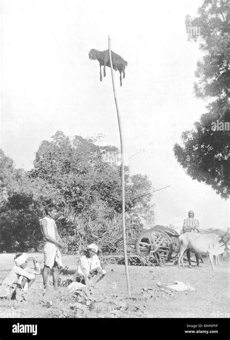 India Sacrificial Custom Cholera Or Famine Sacrifices To Kali 1900