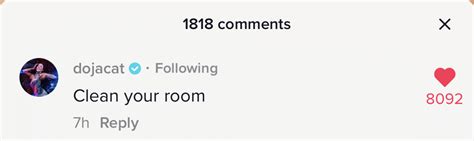 Mega Commenters Are The Best Part Of TikTok Mashable