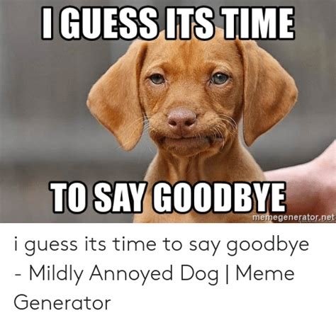 Trending images and videos related to farewell! 25+ Best Memes About Mildly Annoyed Dog | Mildly Annoyed Dog Memes