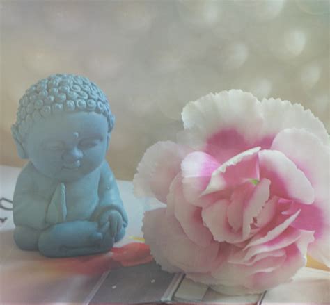 Harmony Harmony Buddha With Mini Carnation Twistylaneblog Flickr