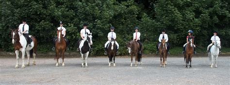 Bourne Vale Riding Stables Centre The Horse Life