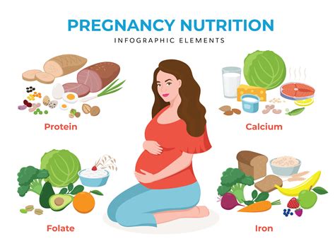 How Does A Mothers Nutrition Affect The Foetus Motherhood Hospitals India