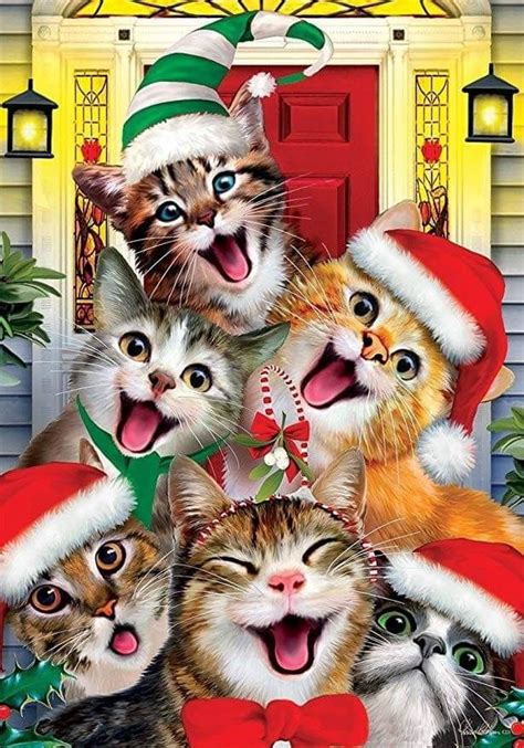 Joyeux Noël Christmas Cats Christmas Animals Christmas Kitten