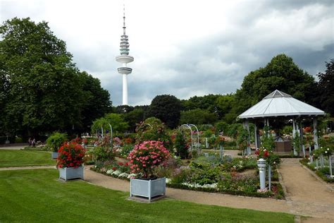 (redirected from botanischer garten hamburg). Botanischer Garten Hamburg | Bilder Blog