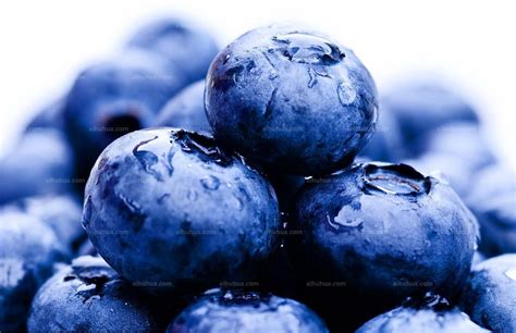 蓝莓可改善儿童注意力！ 哔哩哔哩