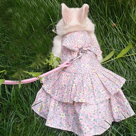 Cute Bunny Pet Vest Rabbit Clothes Dress Harness Supplies Etsy