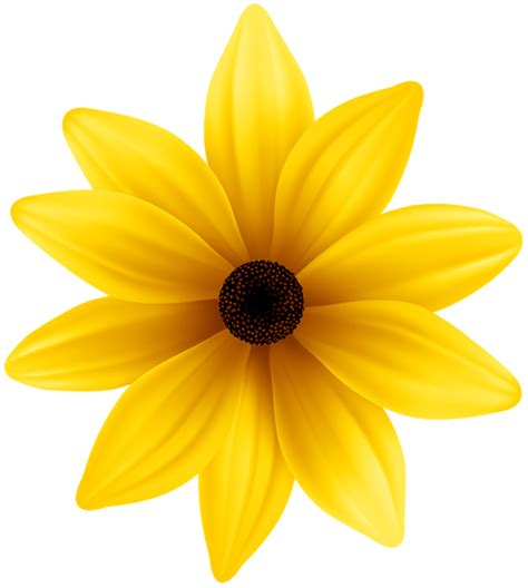 Download High Quality Flowers Transparent Yellow Transparent Png Images