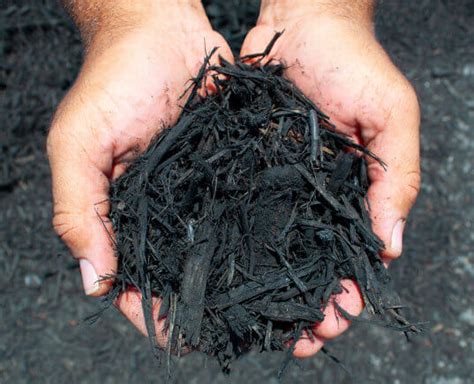 San Antonio Black Dyed Mulch New Earth Compost