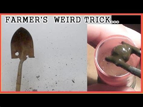 Buckshot, even magnum loads have greatly restricted ranges vs a slug that can be effective out to 100 yards or more depending on the gun, type, gauge, and style of slug you are shooting. 00 BUCK Wax Slugs vs BIRDSHOT Wax Slugs - YouTube