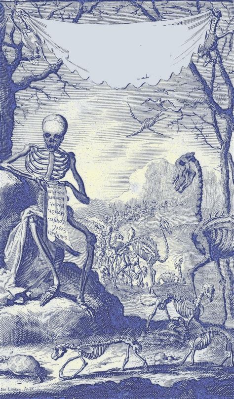 Vintage Halloween Skeleton Free Stock Photo Public Domain Pictures
