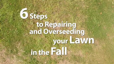 6 Steps To Repairing And Overseeding Your Lawn In The Fall Youtube