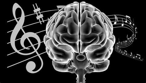 Music Stimulates Same Area Of Brain As Sex And Drugs Science Of The Spirit