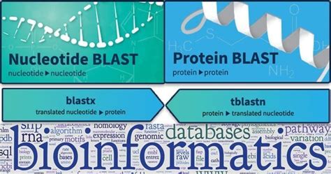 20 Best Bioinformatics Tools For Linux Systems
