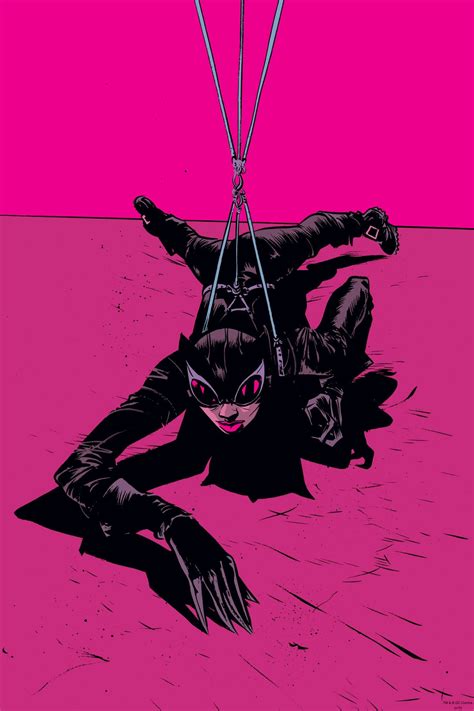 Inside The Rock Poster Frame Blog Paul Pope Catwoman Print Release