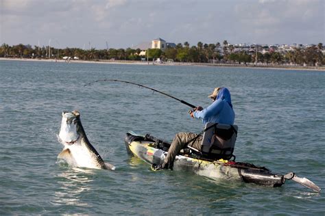 Kayak Fishing Charters Bonecollectorkayakfishing Keys And South Florida