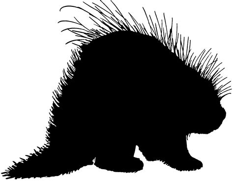 Cute Porcupine Clipart Free Download On Clipartmag