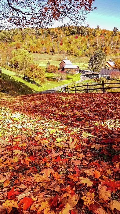 Sleepy Hollow Pomfret Vermont 1 By Jeff Folger Autumn Scenery