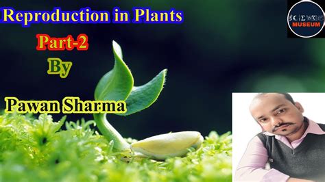 Reproduction In Plants Part 2 Class 7 Science Cbse Youtube
