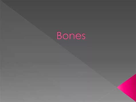 Ppt Bones Powerpoint Presentation Free Download Id2462908