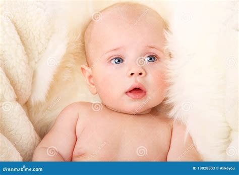 Cute Naked Baby On The Fur Stock Photos Image 19028803