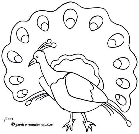 Mewarnai Gambar Binatang Sketch Coloring Page