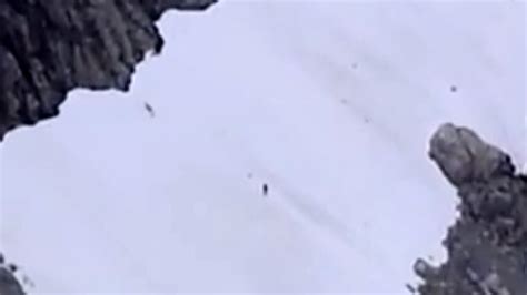 Bc Hiker Films Possible Sasquatch In Mountains Near Squamish