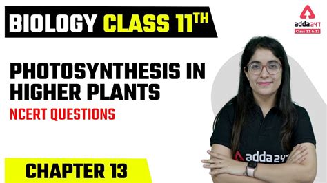 Class 11 Biology Chapter 13 Photosynthesis In Higher Plants Class 11