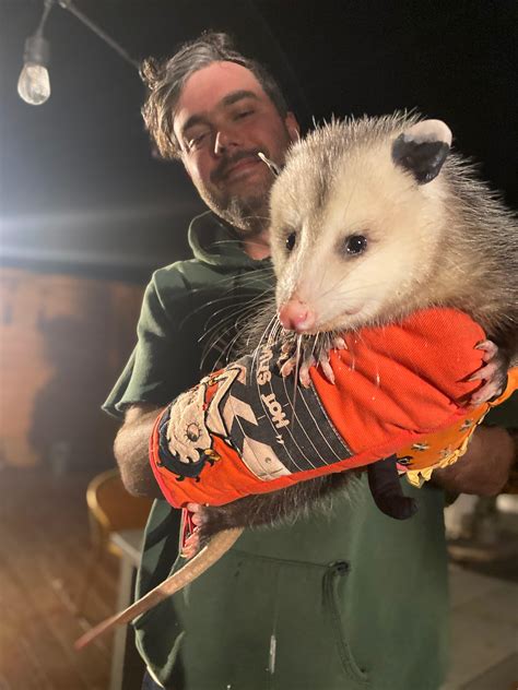 I Think Yall Will Like My New Opossum Paw Paw He Let Me Pick Him Up