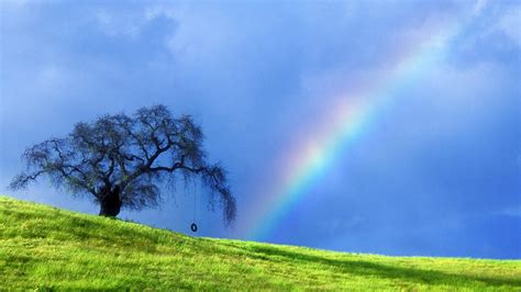 Free High Definition Wallpapers Rainbows And Lightnings Wallpapers 1080p