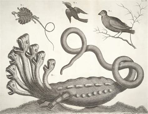 Top 10 Amazing Stories Behind Vintage Biology Drawings Art And