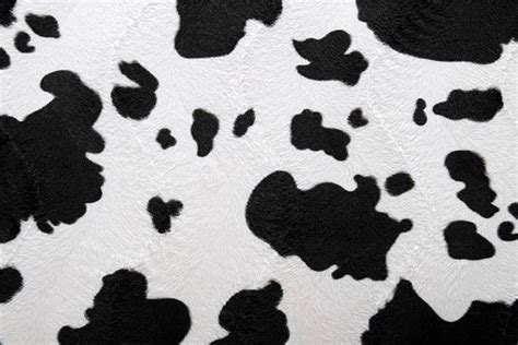 Cow Texture Stock Photos Pictures And Royalty Free Images Istock
