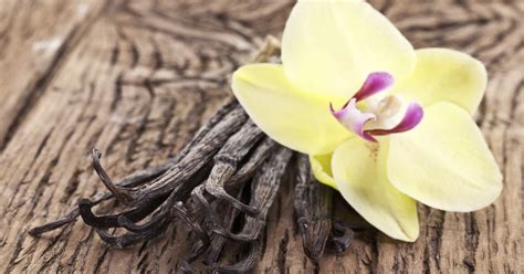 What Are The Health Benefits Of Vanilla Extract Livestrongcom