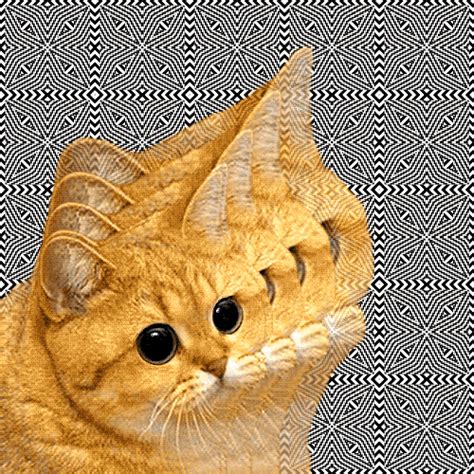 Cybergata Meme Cats