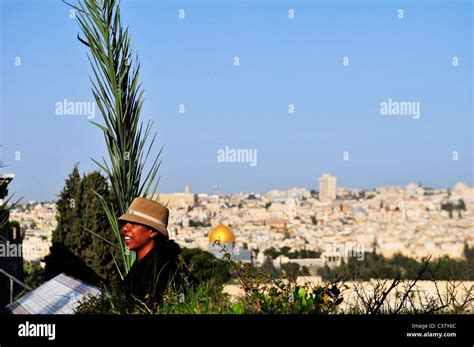 Palm Sunday In Jerusalem Stock Photo Alamy