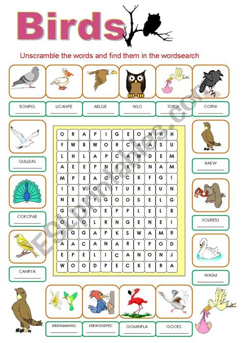 Birds Wordsearch Esl Worksheet By Sumerce