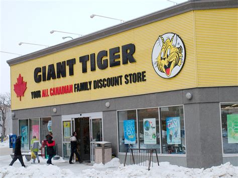 New Giant Tiger Opening At 1441 Main Street Access Winnipeg