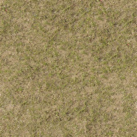 Grass0007 Free Background Texture Grass Short Dry Sand Green Beige Seamless Seamless X