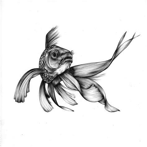 Goldfish Ballpoint Pen 19x19cm Goldfish Art Ballpoint Pen Art Fish