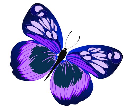 Pink And Purple Butterfly Clipart Clipart Panda Free Clipart Images