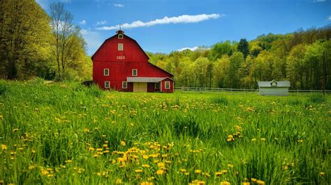 Spring Barn3 Wtrh 933 Fm