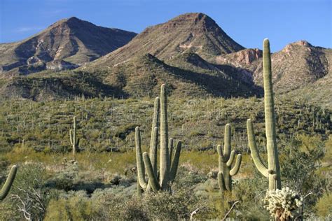 Sonoran Desert Landscape Stock Image Image Of Mountain 16818611