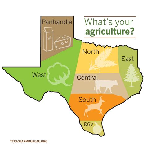 Whats Your Agri Culture Texas Farm Bureau Table Top