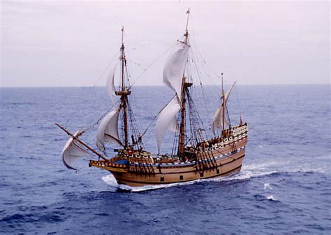 How do you ship plants when moving? Facts About The Mayflower Ship - Some Interesting Facts