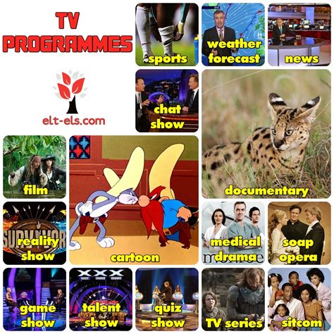 Need to translate pengarah from indonesian and use correctly in a sentence? TV programmes | www.elt-els.com