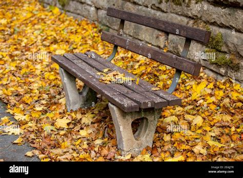 Wooden Bench Surrounded By Colorful Autumn Leaves Stock Photo Alamy