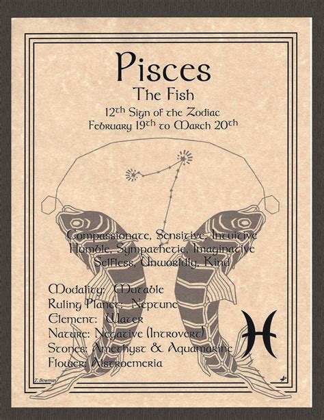 Pisces The Fish Zodiac Astrology Sun Sign 8 12 X 11 Page Poster Art