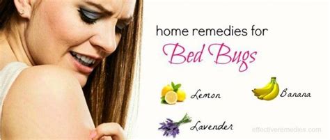 27 Natural Home Remedies For Bed Bugs Bites Removal On Body In 2020