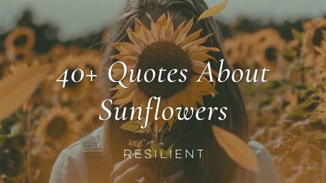 40 Sunflower Quotes And Sayings To Bring Happiness YouTube