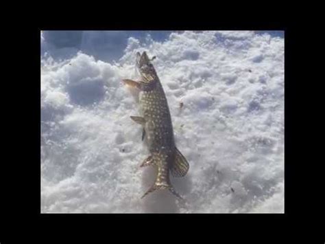 There is a fully accessible fishing pier and pathway. Ice Fishing Smith Lake, Montana - YouTube